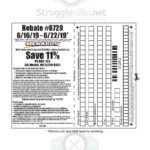 Print Menards Rebate 6729